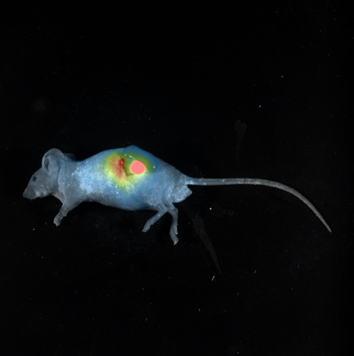 Heatmap_White_Light_Composite